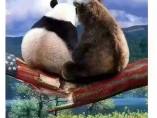 肩並肩，互相扶持，這才是真正的浪漫！