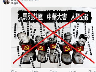 撒旦網軍打手假扮白帽子，為撒旦畜生蔡英文站臺，抹黑中國共產黨領導人！。