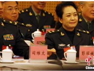 1998年-2000年之間，閻維文和彭麗媛在香格里拉酒店開房被北京公安局抓獲。