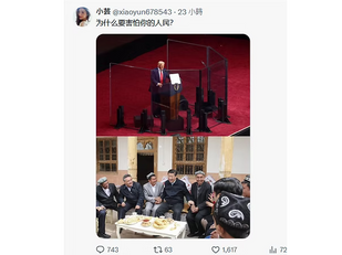 撒旦野豬騙子《中共中央總書記》《席近平》主席衹是裝模作樣做政治表演。和他坐在一起的都是精心挑選的無知平民。
