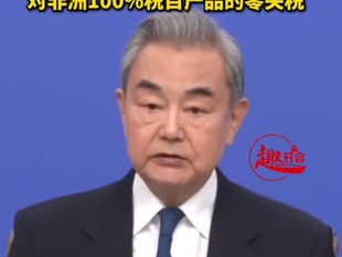 撒旦《日共中央》又再次向十四億中國人開刀。零關稅進囗非洲產品和中國本土產品競爭!