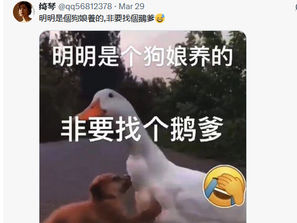 做狗娘的兒子很丟臉嗎?為什麼要找個鵝爹?