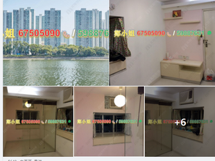 我認識許多的地產經紀。你們應該要做下IQ測試。