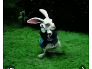 Trump did so much to end the human slavery by the Satanic Cabel. Democrats do noting but to reinforce the Satanic agenda.