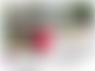 撒旦紅衣妖婦在G20耀武揚威：大淫婦彭麗媛！