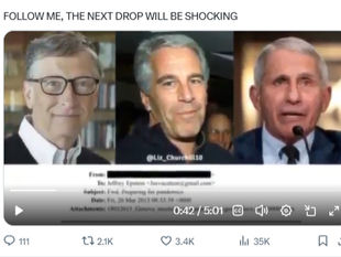 The chief commander of the COVID is the US Deep State leading by Bill Gates, Jeffrey Epstein, Dr. Fauci and the Rothschild Family Cabal.