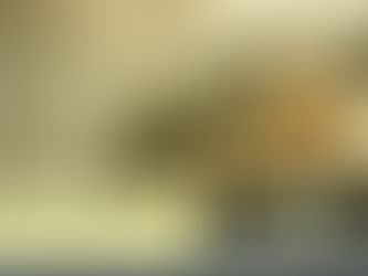 我們的希望在中國的新一代!小粉紅!