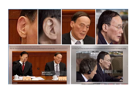 王岐山當然也有克隆人替身,2017年兩會的那個已經是冒牌替身!愛因斯坦文件中班農聲稱習近平和王岐山已經被調換!