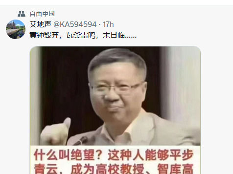 張維為教授也衹是一名中國撒旦傀儡。他的《良政》和《劣政》理論真可笑!