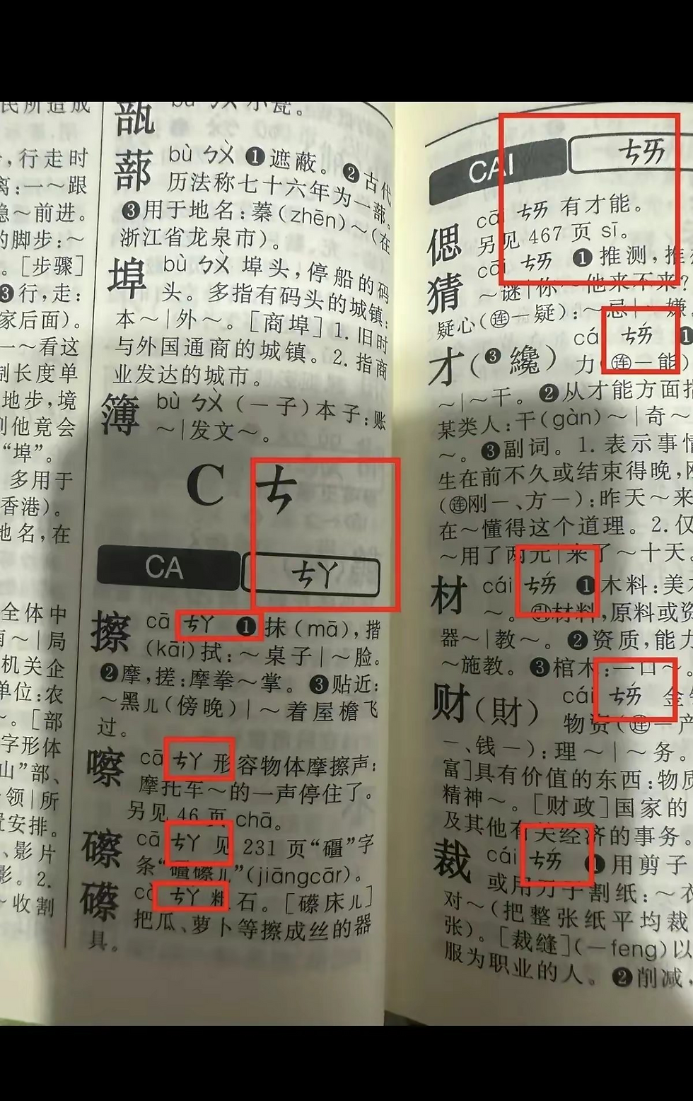 日本野種大淫婦彭麗媛，漢奸賣國賊治國的結果!