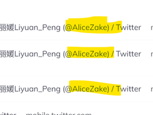 彭麗媛 Liyuan_Peng(@AliceZake) 的名言! 許多都是真心話! 驚人的言論！