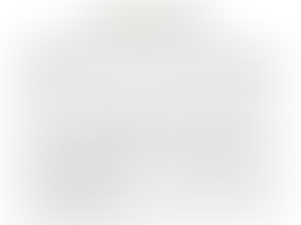 王毅在广西调研边境口岸建设情况。