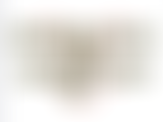 穿梭國際的荷里活巨星就是最出色的間諜!