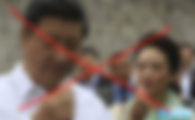 互聯網上的《習近平彭麗媛恩愛視頻和圖片》都是大淫婦彭麗媛利用克隆人偽冒習近平身份拍攝的!