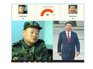 張又俠並不是張宗遜的兒子。他是洛克菲勒家族和撒旦畜生錢學森的野種，《席近平》主席的親信。(9&12!)