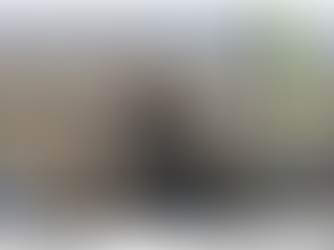 撒旦畜生騙子《中共中央總書記》《席近平》主席親自指揮製作的垃圾電腦合成大閱兵表演!