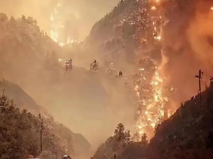 山火是可以人為製造的! 為什麼他們就不用天氣武器來製造大雨滅火?