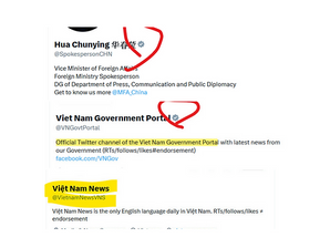 Viet Nam Government Portal is an official government account with a"Grey checkmark"label whereas "Viet Nam News" is just a paid media.