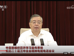 中宣部部長李書磊是大淫婦彭麗媛和《席近平》主席的狗，漢奸賣國賊一名！