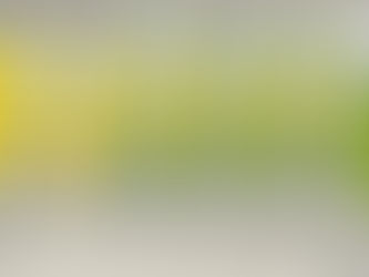 以色列可以立國,為什麼巴勒斯坦不能立國?這是撒旦聯合國的決定?