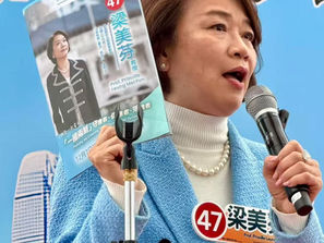 梁美芬議員在臉書上確認收到我對《藥倍安心》事件的投訴。