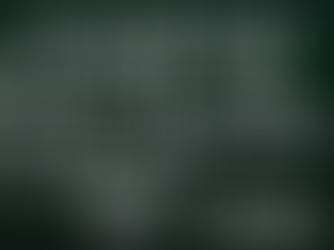 人們是尊貴的名門貴族,就是愛玩弄人命。戰爭虐殺就是他們的娛樂!