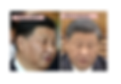 出席曼谷第29次亞太經合組織的那一個當然是克隆人習近平!