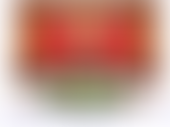 出席76週年國慶招待會人數由去年的3000人銳減至800人。退休常委集體缺席!