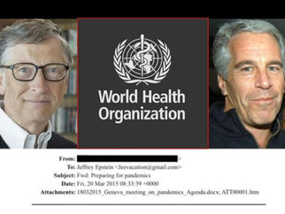 Bill Gates told Epstein to prepare pandemic and he has the answer to get rid of the poor peoples in a whole.