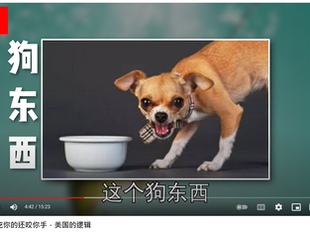 這就是大淫婦彭麗媛的思維，以為自己有權有勢，就可以隨便欺淩別人。把其他人當作一隻狗來看待，美國人和香港人都是搖尾乞憐的狗在討吃！