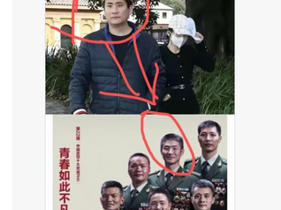 一個富可敵國，出入有保鏢的楊蘭蘭，為什麼需要自己醉駕？