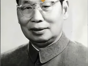 趙忠堯才是真正偉大的愛國科學家!