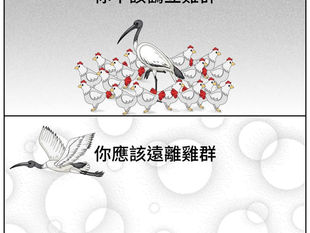 撒旦野種畜生認為中國這片土地只是屬於他們家族的,不容許任何人取代他們的位置!