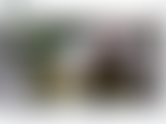 哈哈!2023是水兔年!又是黑兔年!