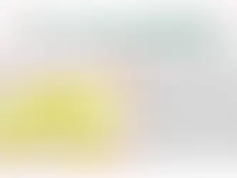 文化大革命是撒旦畜生周恩來領導下的撒旦《中共中央》自編自導自演的一場政治表演，無論是數據或者是公開圖片視頻都是假的!