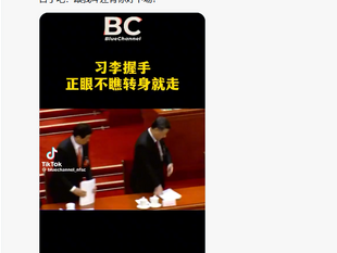 這個習近平應該是中國共產黨《中央委員會總書記》習近平。這個衹是撒旦央視利用電腦換面技術製作的虛假視頻,變成為撒旦野豬騙子《中共中央總書記》《席近平》主席。