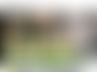 撒旦垃圾桶軍為了維護撒旦畜生張又俠的面子,散播何衛東自殺的虛假信息。