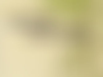 【佛教的邏輯、辯證法與知識論】新書預告#吳汝鈞 著