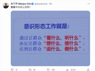 這些弱智的撒旦走狗，被西方撒旦意識形態洗腦也不自知！