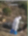 大白在水裡倒什麼東西?為了推翻習近平政權可以不擇手段!