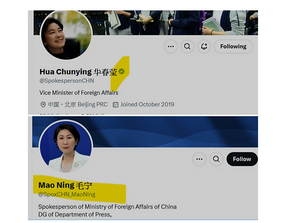 毛寧在x平臺的賬號名沒有灰色政府註冊標籤!