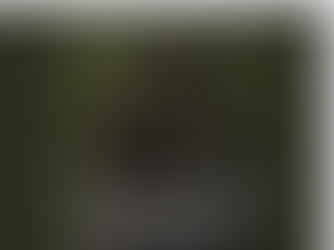 Great Harlot Peng Liyuan is a malignant narcissist who always overvalue herself. In fact, she is the most stupid woman in the world!!