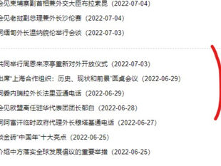 出席《25週年香港回歸典禮》的那個是王毅克隆人替身！