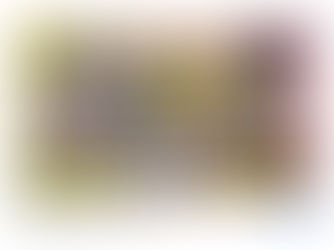 香港政府包庇潘冬平和彭詠枝,房署欺善怕惡小紅書炫富唔敢管,但是就欺壓一對有精神病的母子!