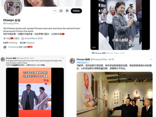 無恥壞腦的海外反賊，專門散播虛假信息，協助大淫婦彭麗媛和《席近平》主席造假！