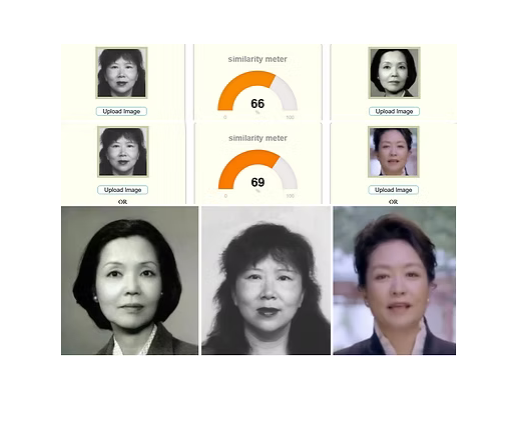 陳慧瑛自認是民族英雄陳化成嫡孫，以習近平的布衣之交自居，其實就是一名撒旦野種妖婦，下九流戲精騙子，和大淫婦彭麗媛合謀造假散播虛假的習彭戀愛故事。