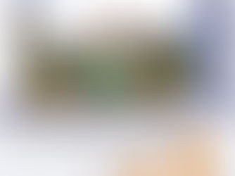 長策報告 十年擬建逾30萬公營屋 首五年落成1/3