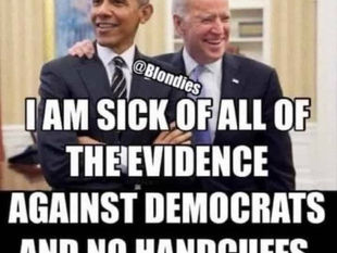 Me too! I am sick of all the evidence against Great Harlot Peng Liyuan and she can still lie and cheat unscrupulously in public!