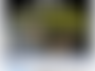 香港2019年顏色革命背後的幕後黑手就是大淫婦彭麗媛和中國撒旦集團！