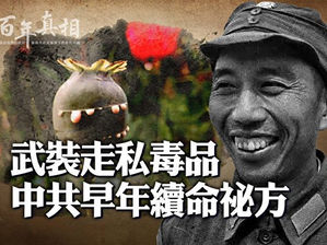 紅色神話之六:南泥灣種鴉片